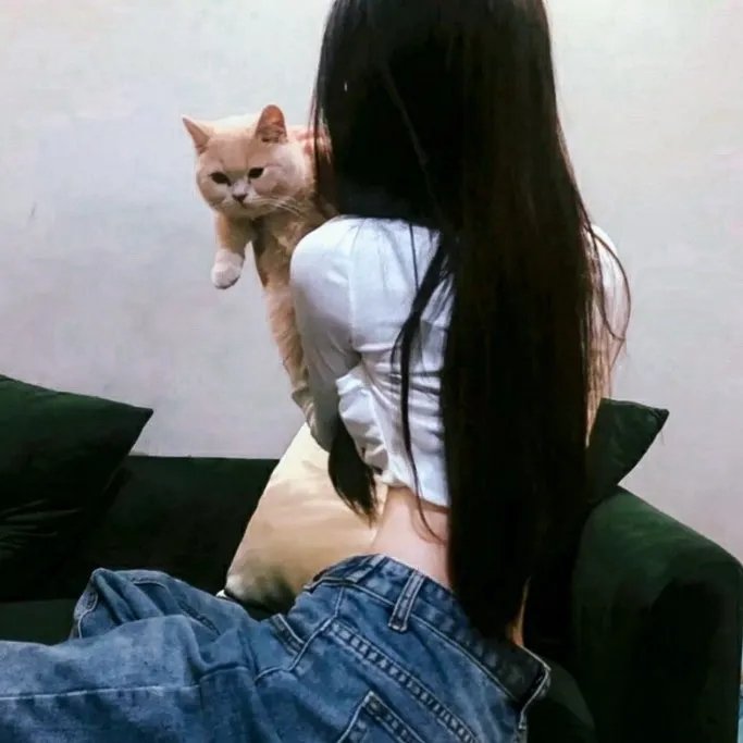 黑房子